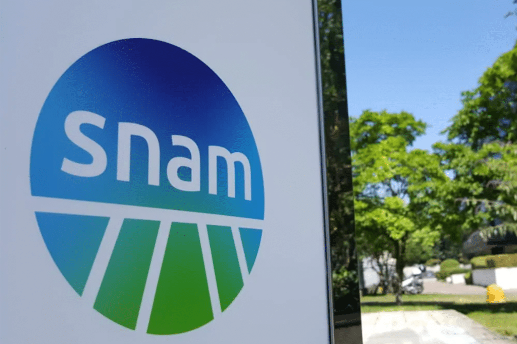 Logo Snam